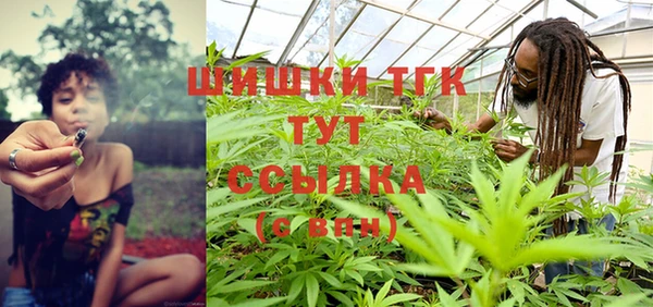 шишки Туринск