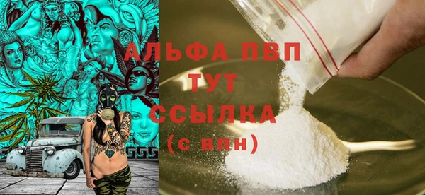 шишки Туринск