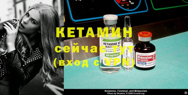 шишки Туринск