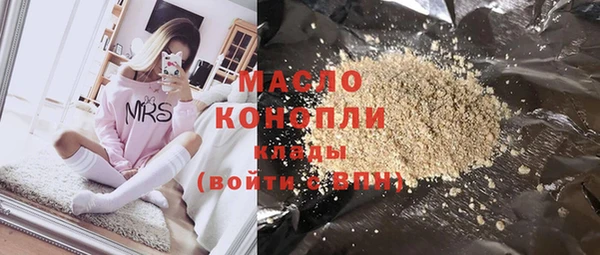 шишки Туринск