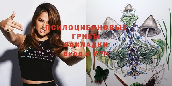 амф Тында