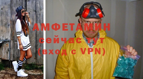 шишки Туринск