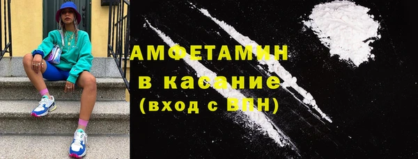 шишки Туринск
