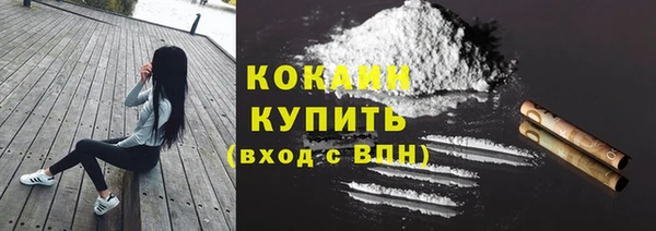 стафф Богородск