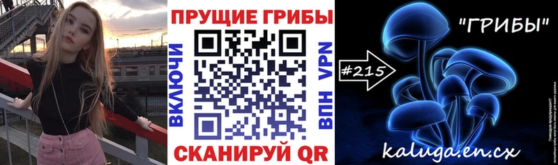Галлюциногенные грибы Psilocybe  продажа наркотиков  Красково 