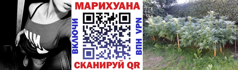 Конопля ГИДРОПОН  Красково 